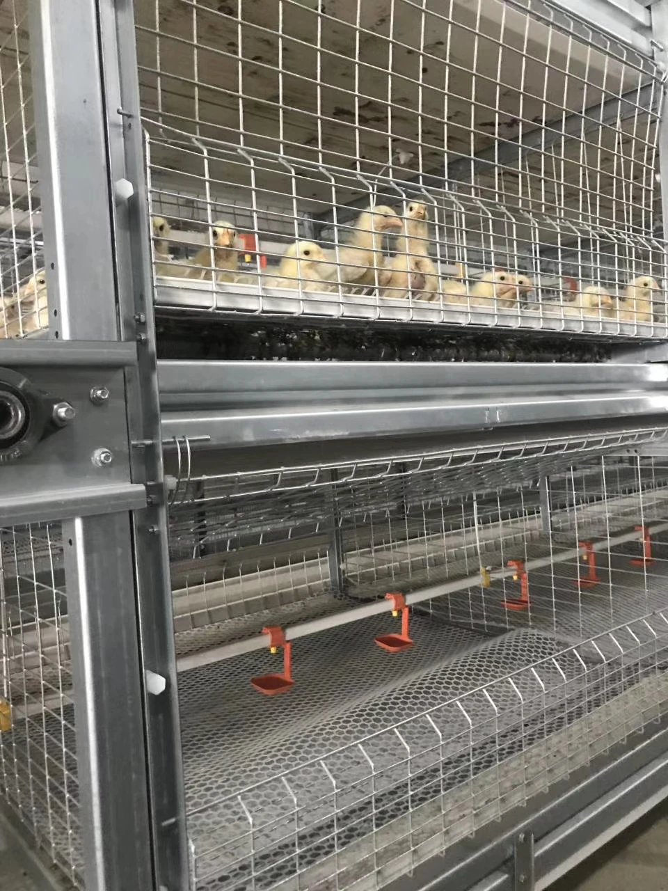 poultry broiler cages for broiler chicken battery cages poultry farm