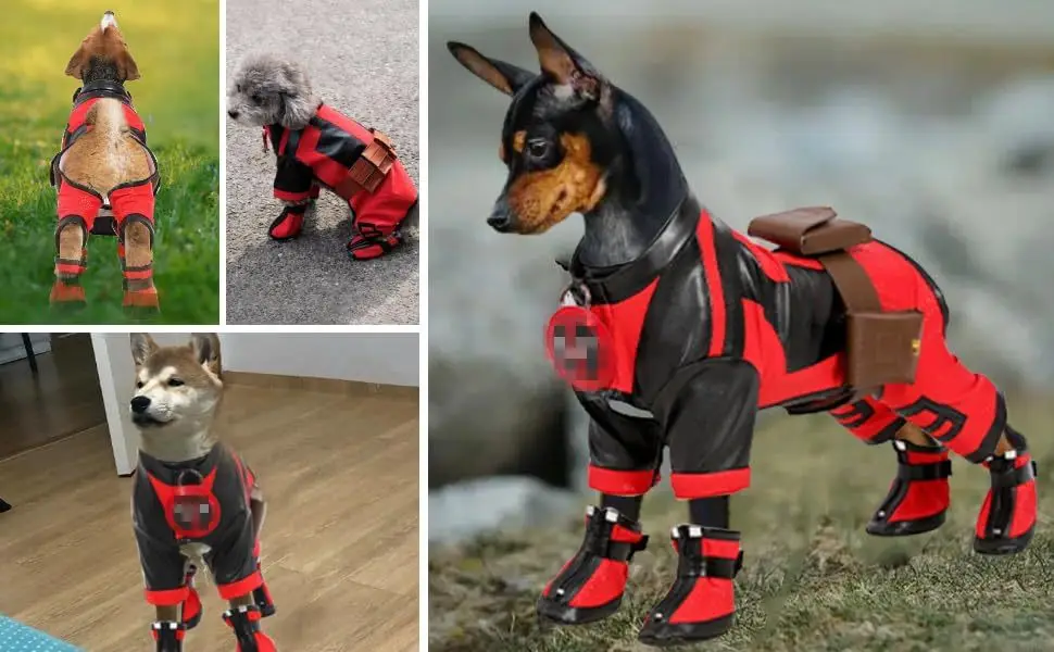 Funny Pet Deluxe Costume for Dogs Cats Halloween Costume Puppy Party Cosplay Clothes For Small Medium Large Dress Up Dog Clothes
