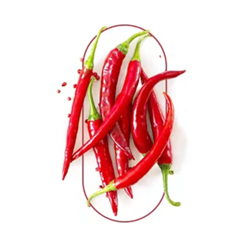 OEM day time fat burner slimming pills supplement 60 capsules