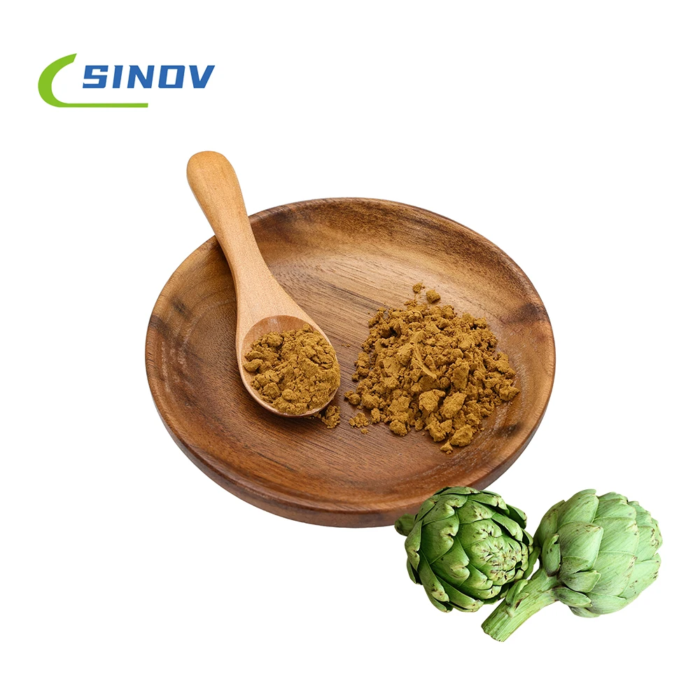 Hot Sale Extract Cynara Scolymus Cynarin Artichoke Extract Artichoke Leaf Extract