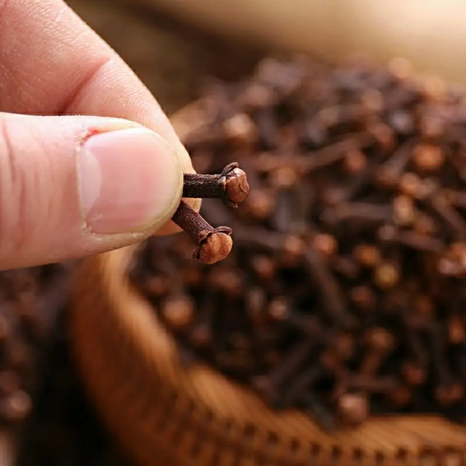 Export Indonesia Cloves Madagascar Clove