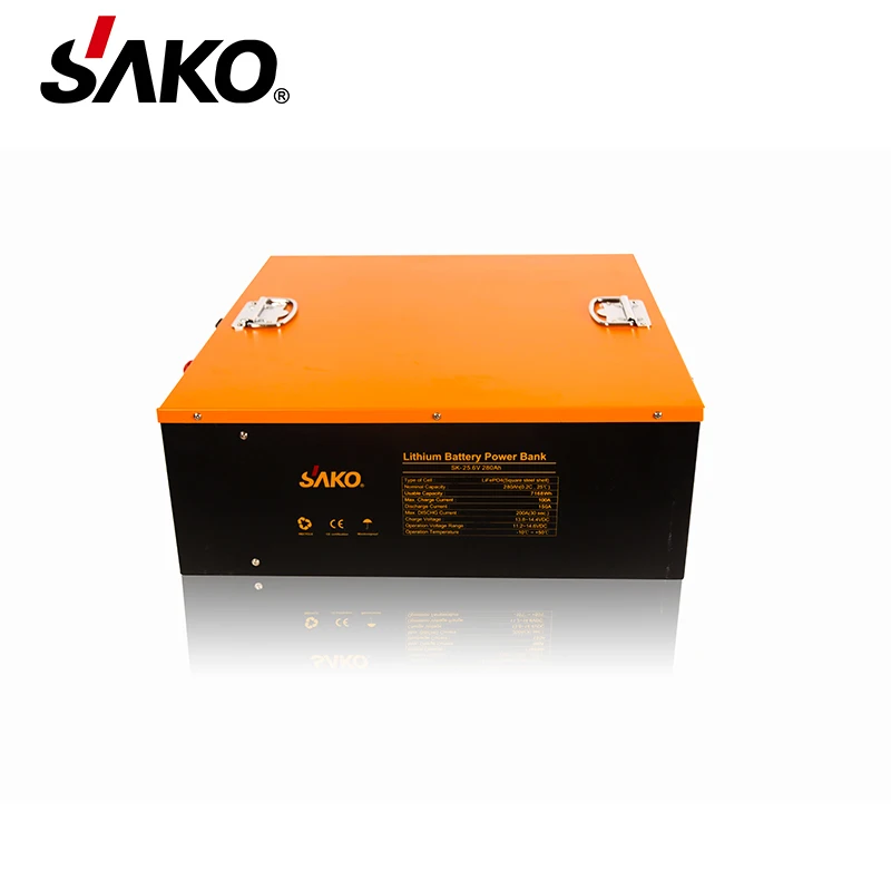 Deep Cycle Lithium Iron Phosphate Battery BMS 12V 24V 48V 72V lifepo4 batteries 100Ah 200Ah 280Ah lithium battery solar storage