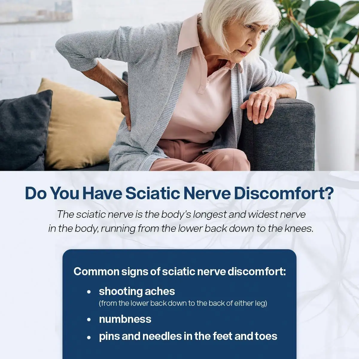 Potent Sciatic Nerve Care Capsules - Relieves sciatica with Vitamin B Complex, Alpha Lipoic Acid and Alpha Palm Pea.