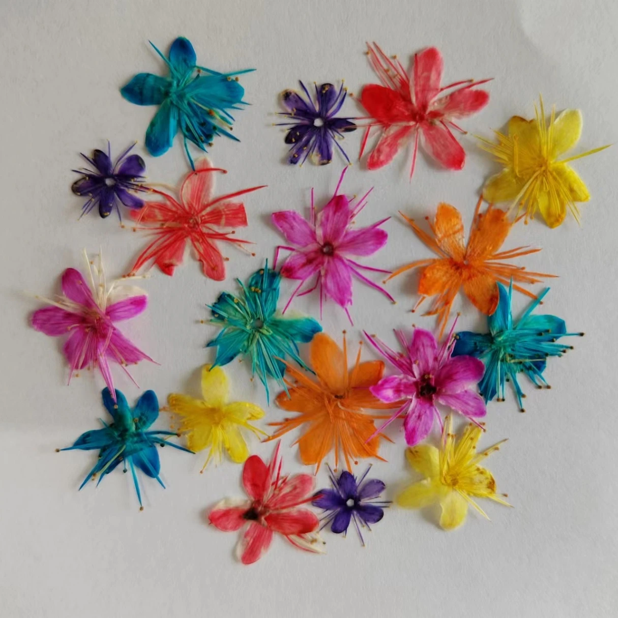 Real Dried Flowers Nail Art 3D Mixing Design  Lace Gel Polish DIY Accessories Nail Decorations Nail Pendant
