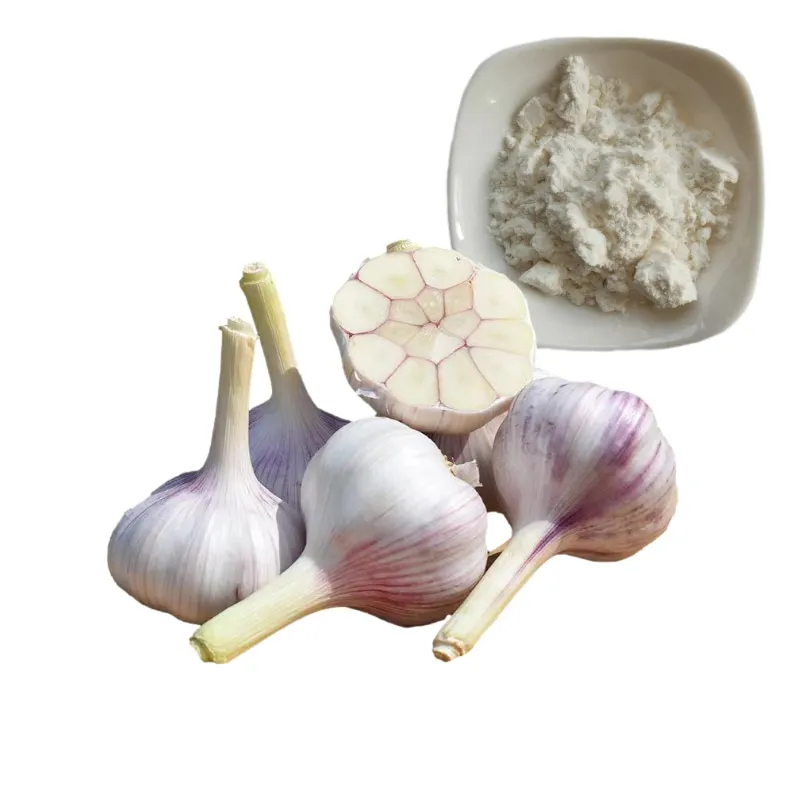 food grade garlic allicin powder bulk  with strong smell