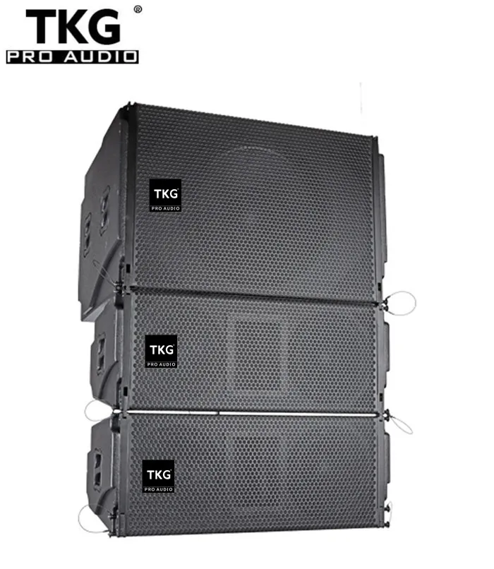 TKG FA210 900W church outdoor sound system dual 10 inch line array