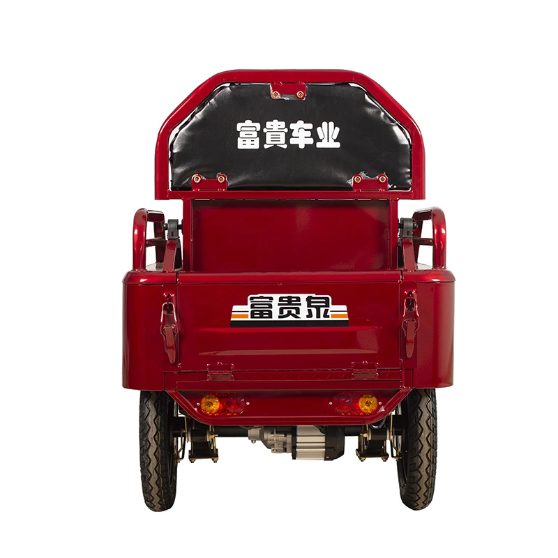 Passenger and Cargo Tricycle Turkey Bajaj Tricycle Manufacturers Electric Foldable Tricycle