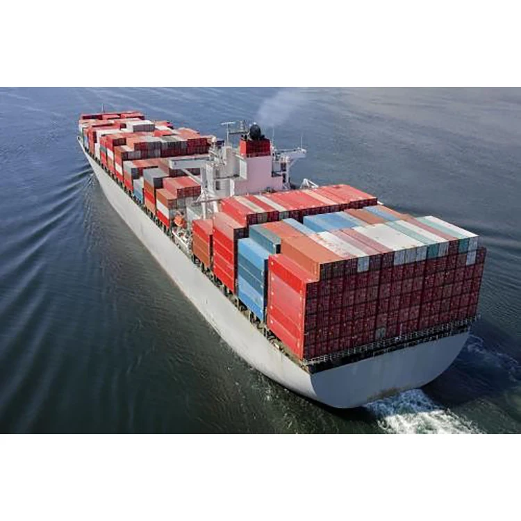 International Logistics Ocean Cargo DDP Freight Forward LCL Shipping Agent to USA