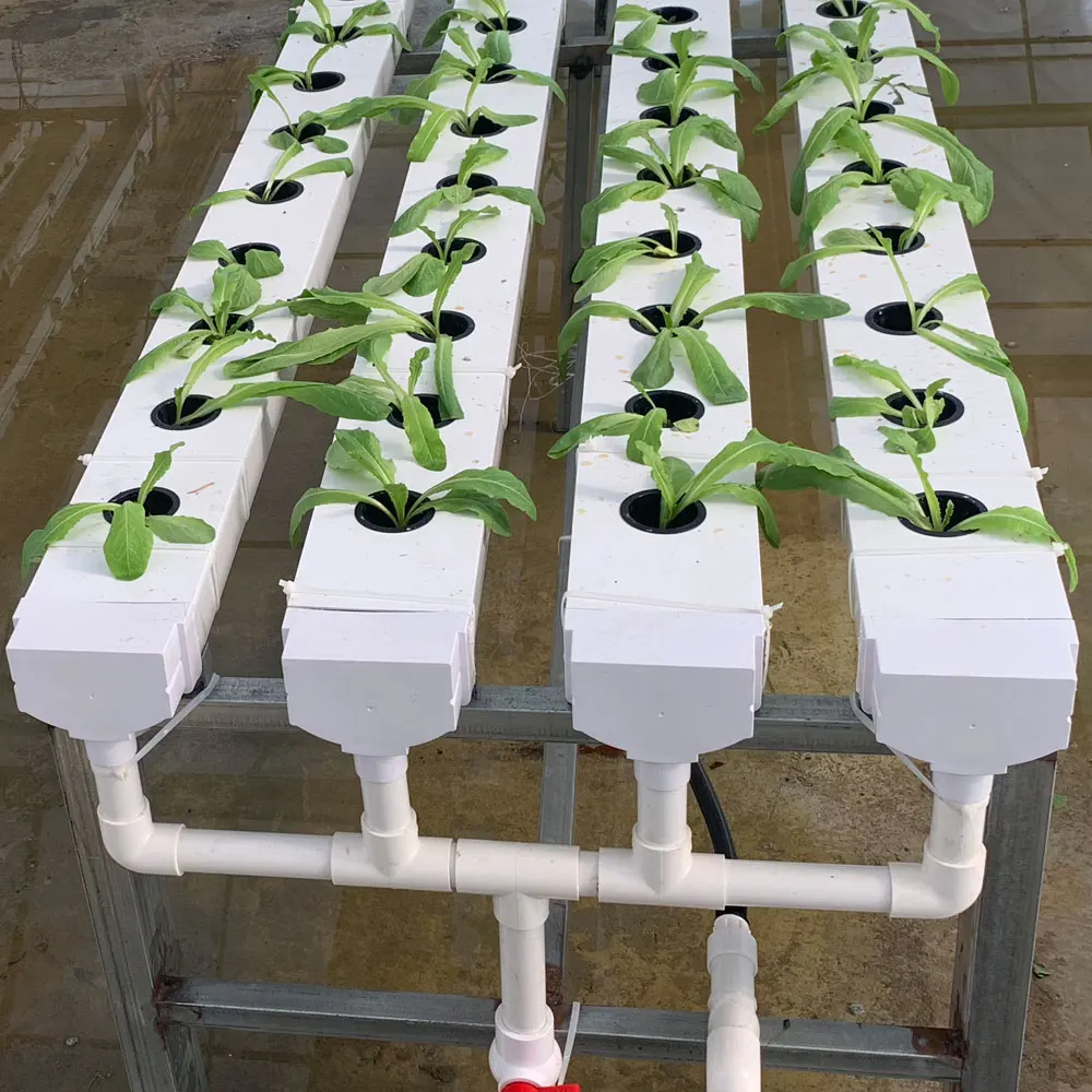 Hydroponics vertical farming planting square channel