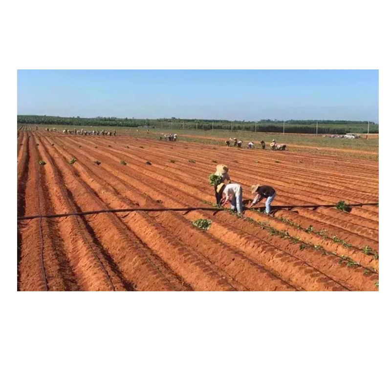 New Design Riego Goteo 7/8 Drip Coupler Lay Flat Irrigation Tape With Great Price