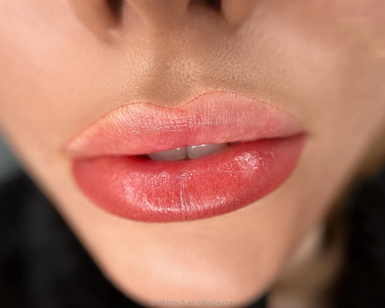 Lami high quality oem perma blend pigments for lip and brow free sample customization supplied