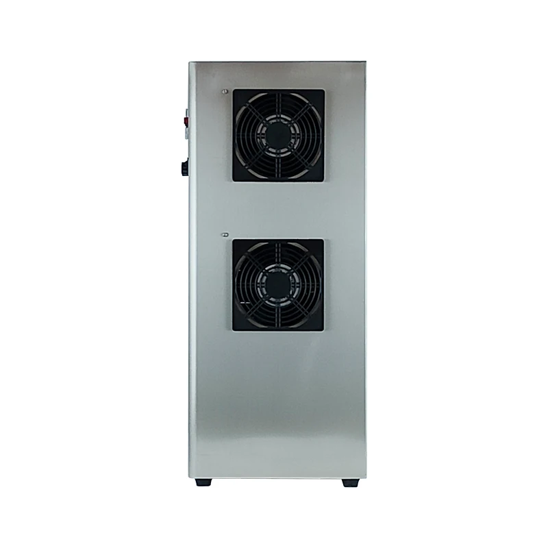 China Industrial 50g/h Ozonator with Corona Discharge Technology Air Cooled Ozone Generator
