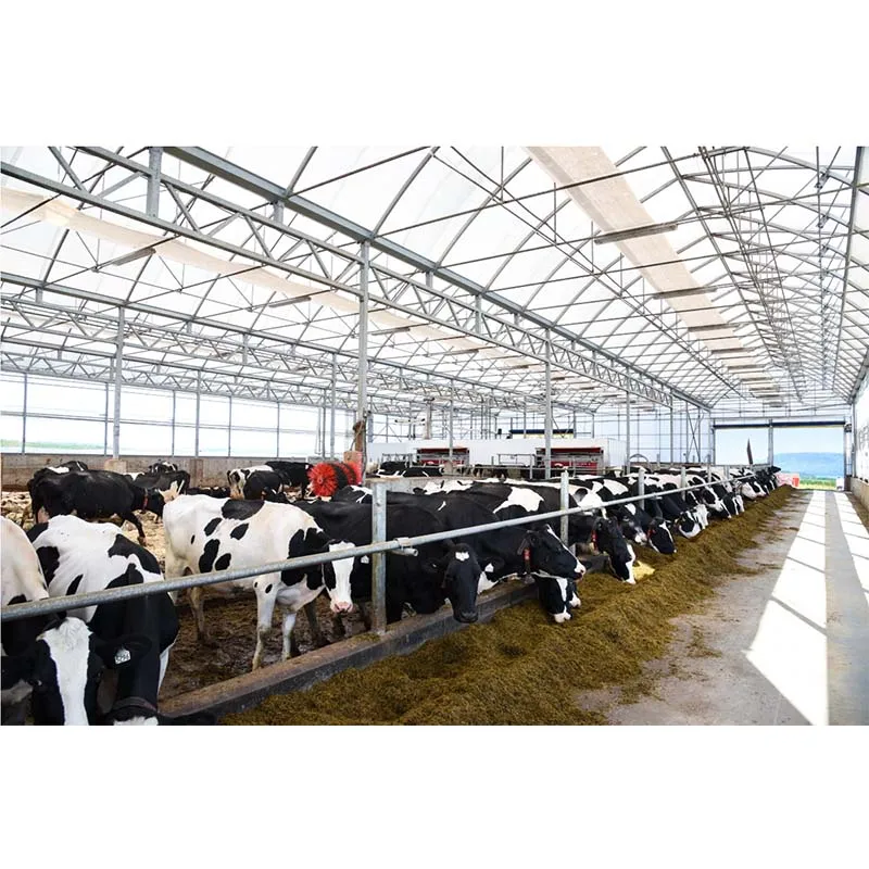 
cattle greenhouse Ecological animal polycarbonated greenhouse easy installed cooling system heating system 