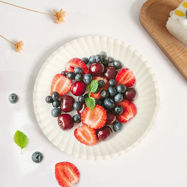 Multiple Sizes Bulk Disposable White Uncoated Paper Plates for Appetizer Lunch Dinner Perfect Dinner Plates Compostable Plates