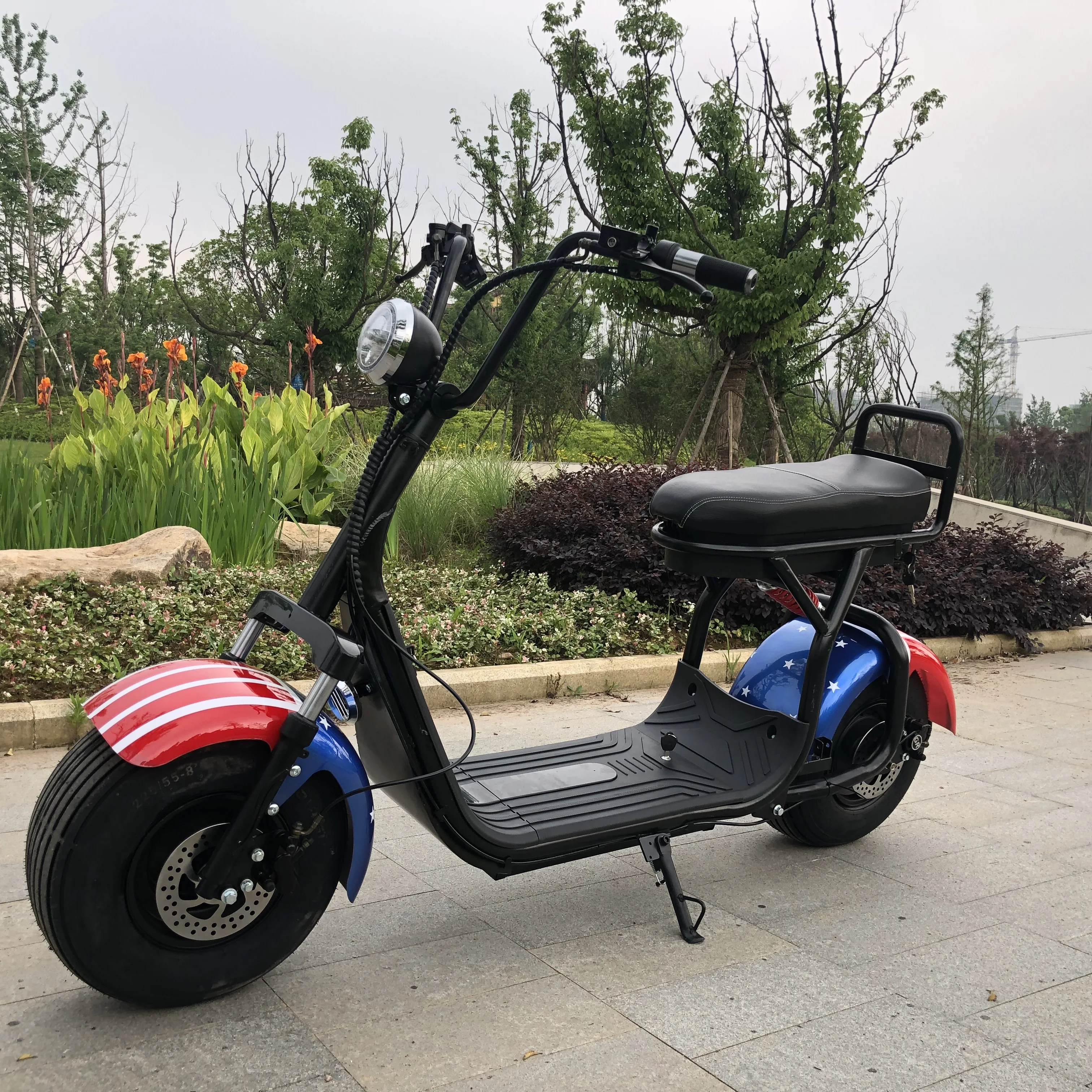 citycoco scooter _2.JPG