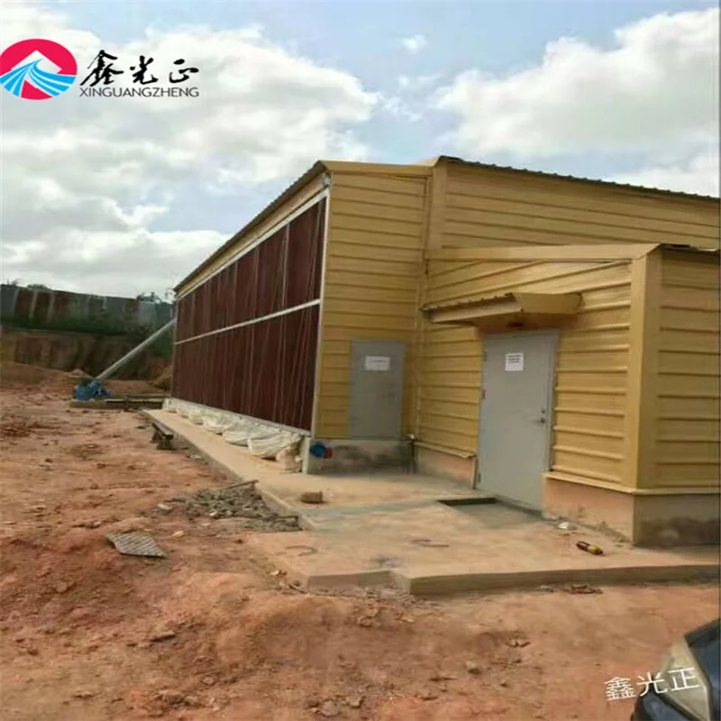 Automatic Poultry Farming System Broiler Layer Chicken Equipment Chicken Livestock Feeder Equipment Automatic Feeding 1.5 Years