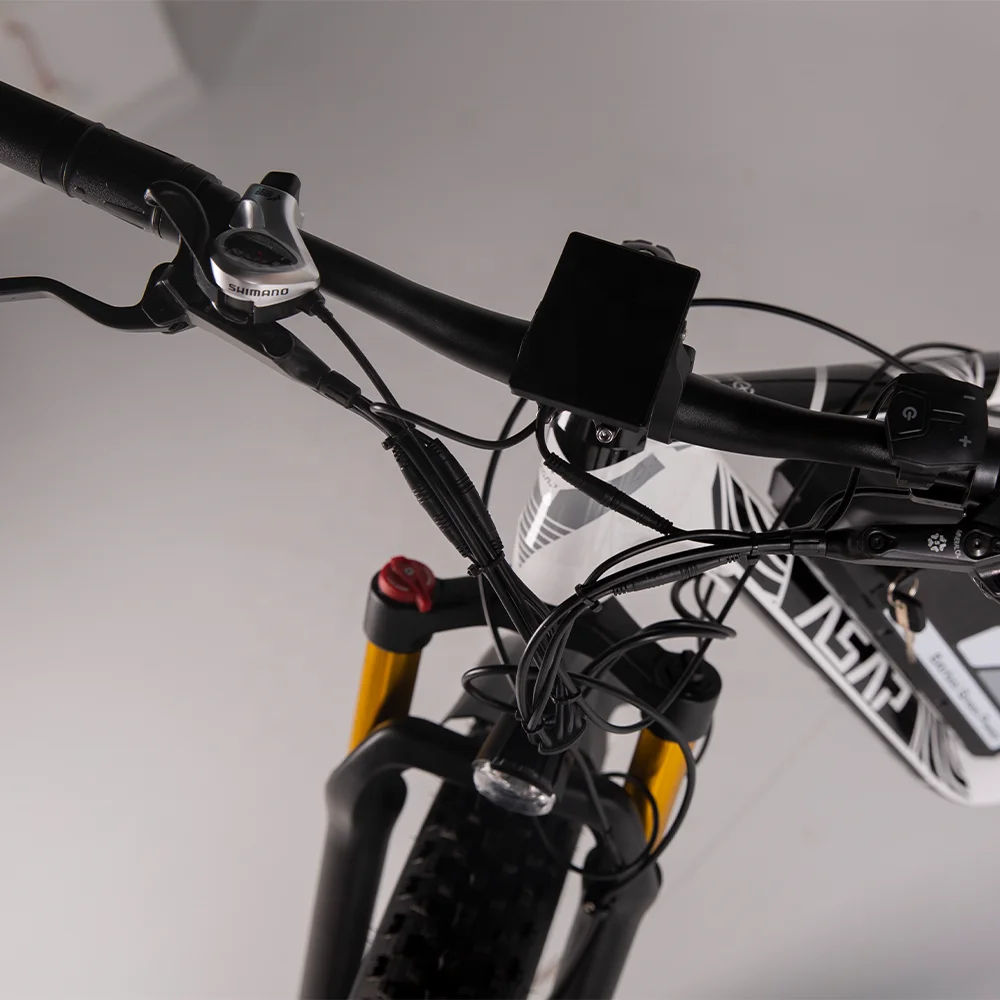 Equipped 26 Inch Fat Tire Support Multi-Terrain Riding Using 750W Bafang Motor Powerful Adult Electric Mountain Bike