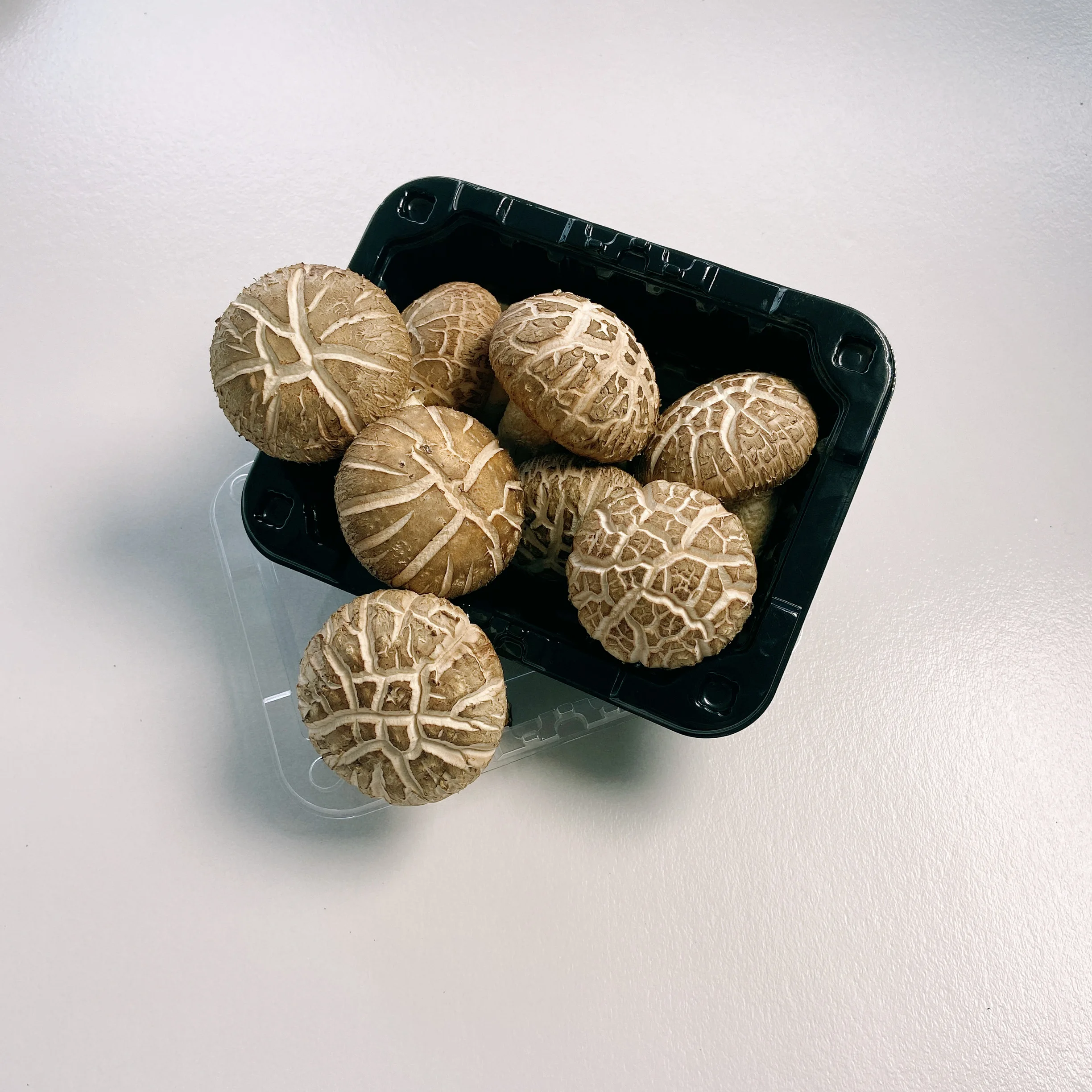 
Professional Hot Sale Dried Shiitake Mushroom Prices Production 