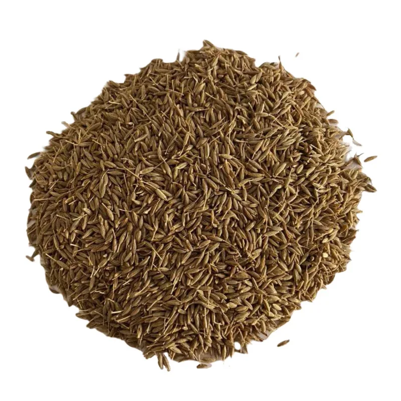 Wholesale Non-GMO High Quality Single Spice Herb Cumin Seeds Curry Flavor Of India Chili Kitchen Sauce Halal Barbeque Grill