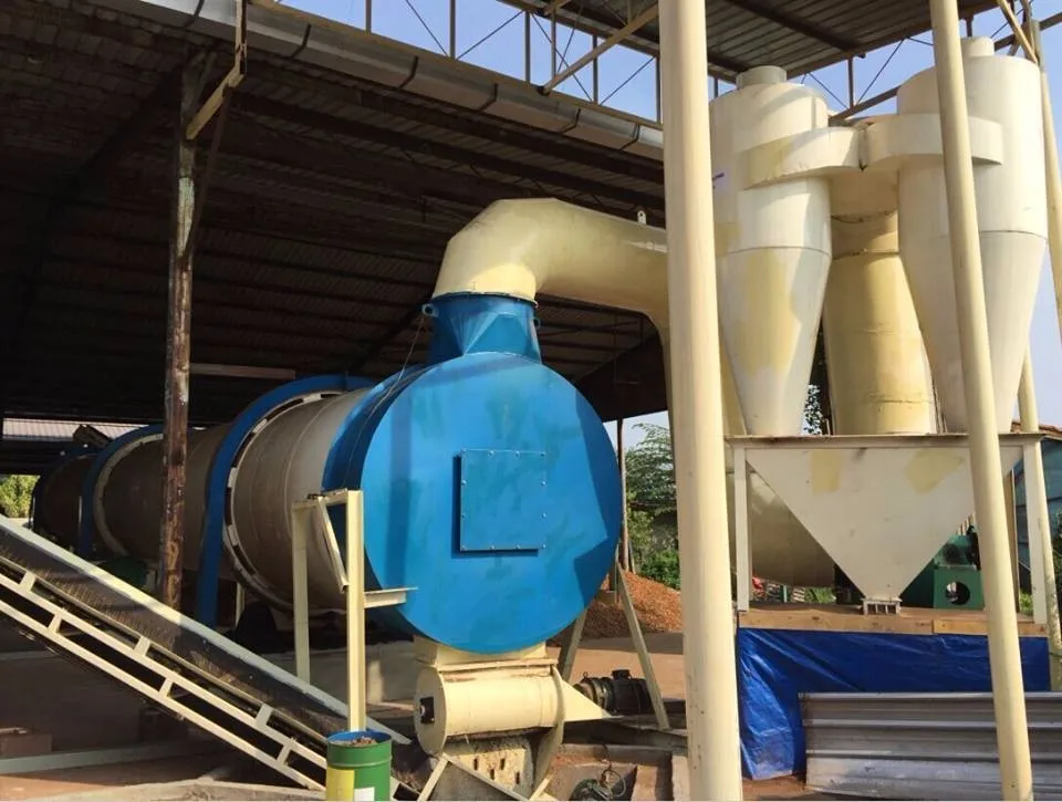 Professional biomass commercial wood sawdust drying equipment with CE
