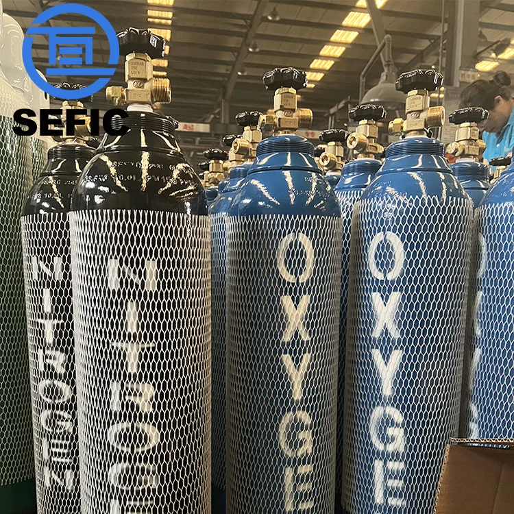 ISO9809-3 150Bar 10L Empty Oxygen Nitrogen Argon Helium CO2 Medical Tank