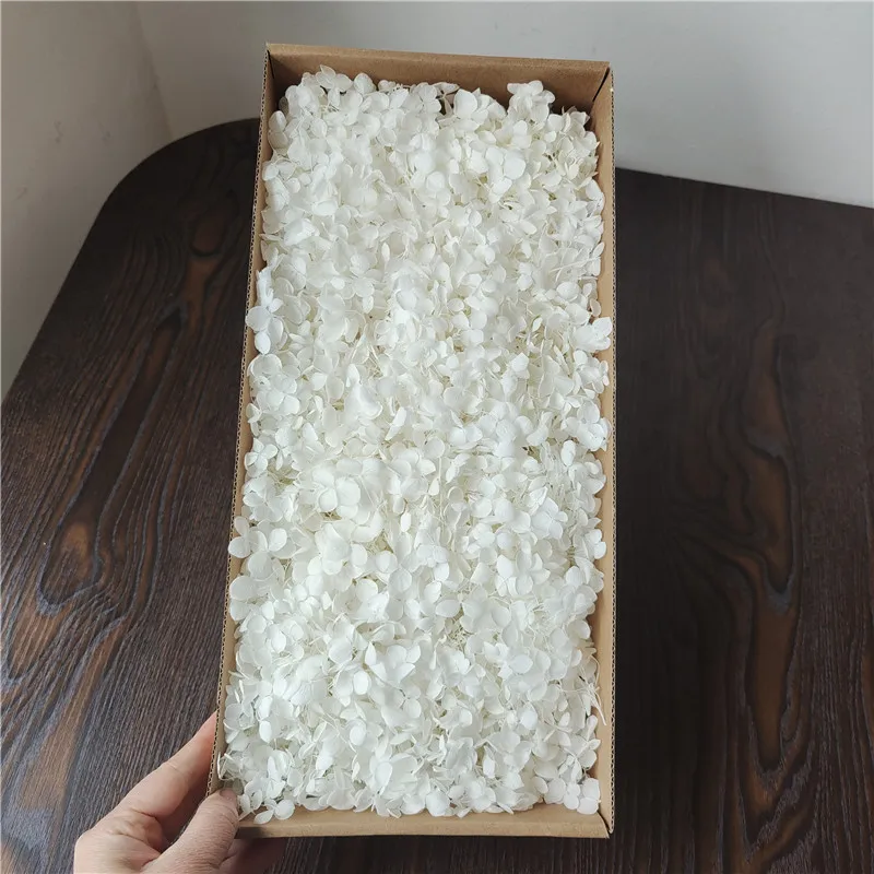 Anna Hydrangea Preserved Fresh Boxed DIY Flowers for Christmas Decorations Drop Glue Accessories