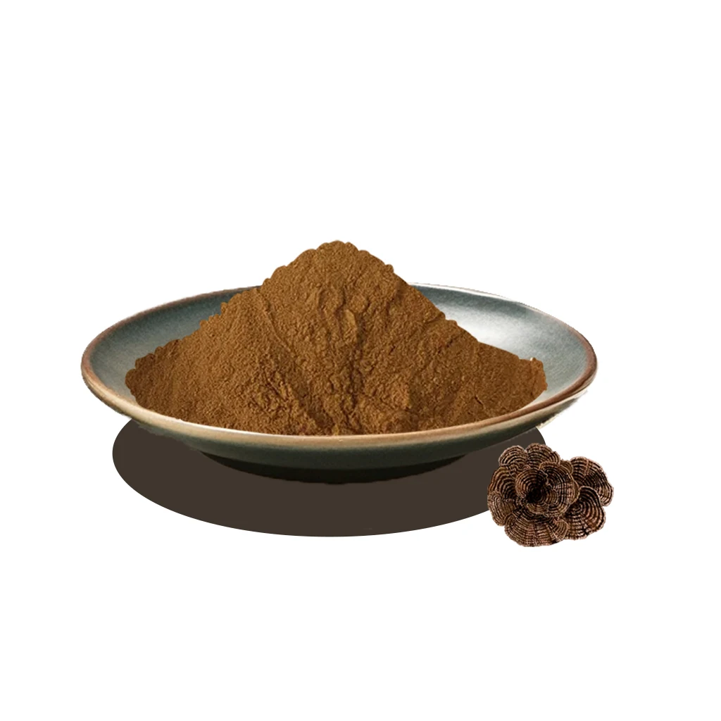 Natural Dried Turkey Tail Mushroom Extract Powder Low Price Pure Coriolus Versicolor Polysaccharides 30% Powder