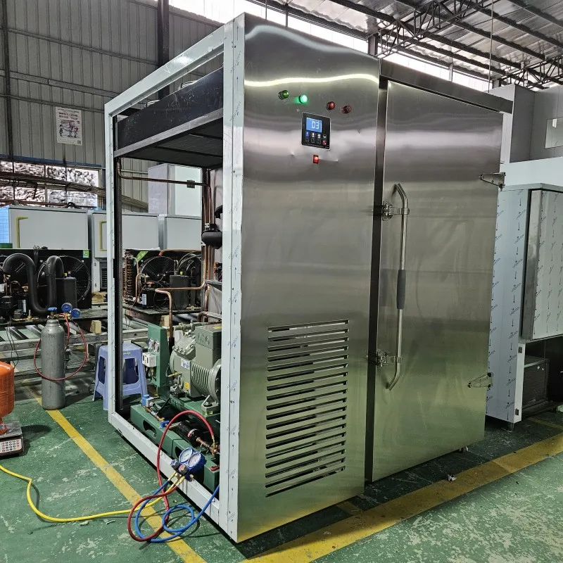 Single Temperature 200Kg/H Customized Iqf Tunnel Freezer/Industrial Iqf Blast Freezer For Fish/Shrimp/Seafood With CE