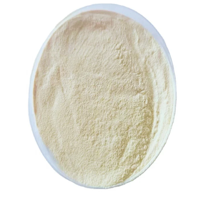 Healthcare Supplement OEM Custom Oyster Peptide Powder Small Molecule Hydrolyzed collagen Peptide for Keeping Moisture