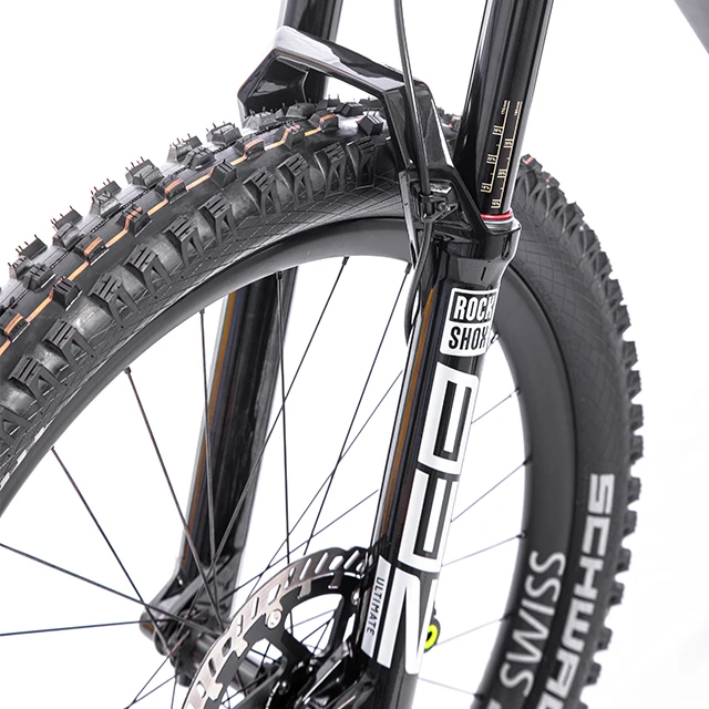 Netherlands High S10 27.5*2.8 Inch Tire Electric Mountain Bike Frame Power Battery DT Swiss Wheelset Ebike