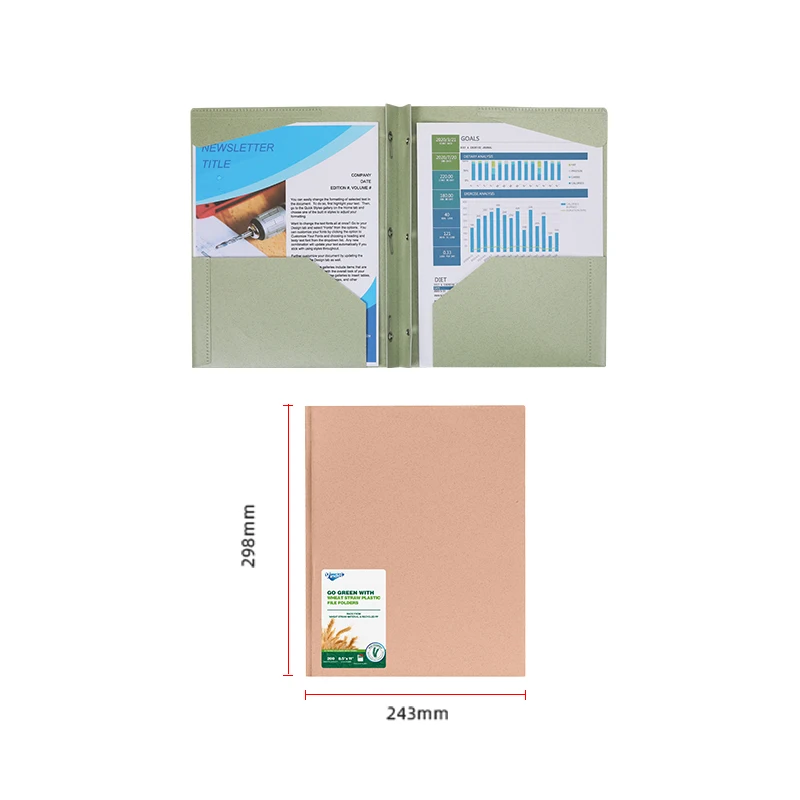 office school supplies two pockets plastic presentation report file folder with 3 prongs 2 pocket business card slot