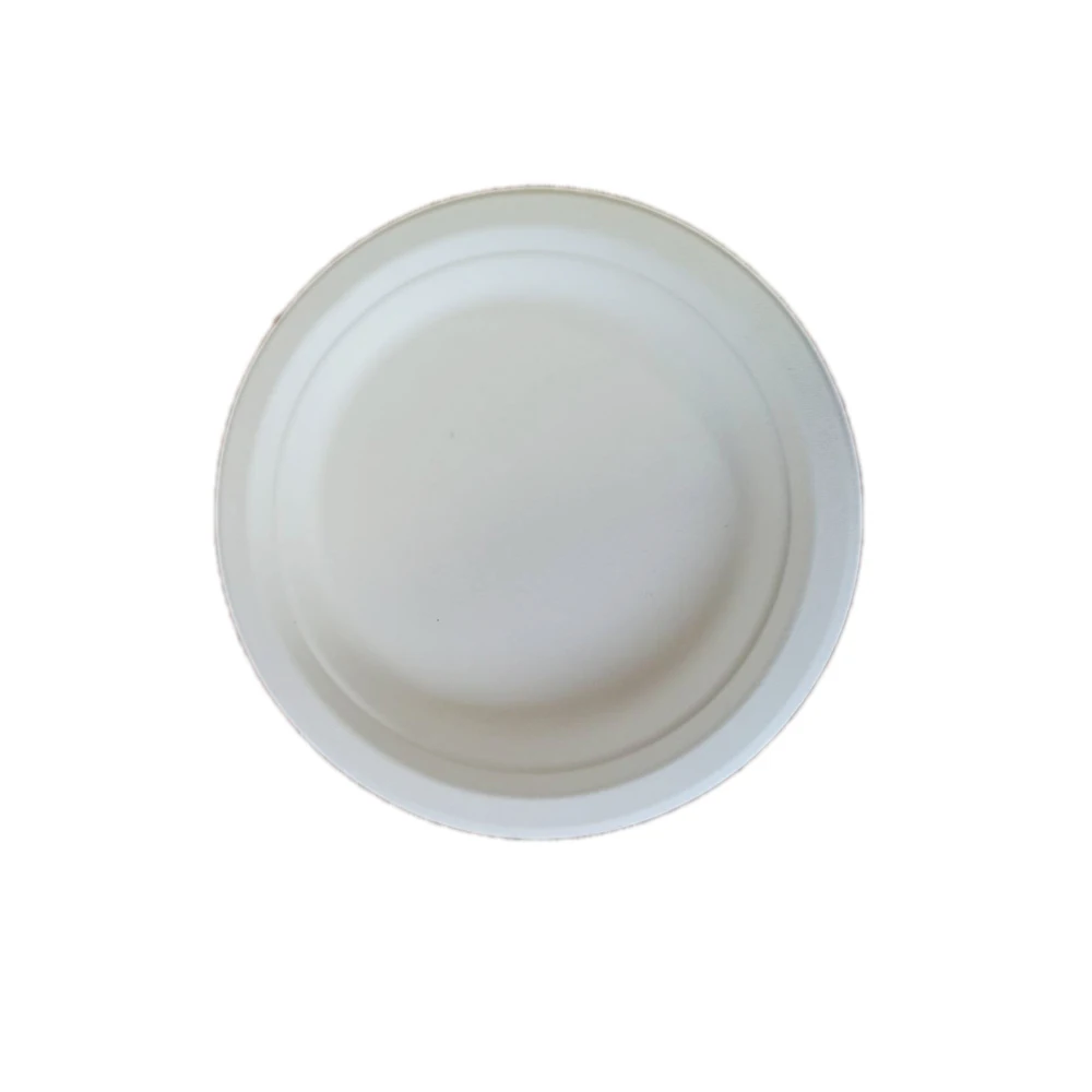 100 compostable sugarcane bagasse pulp disposable 6 inch round plate