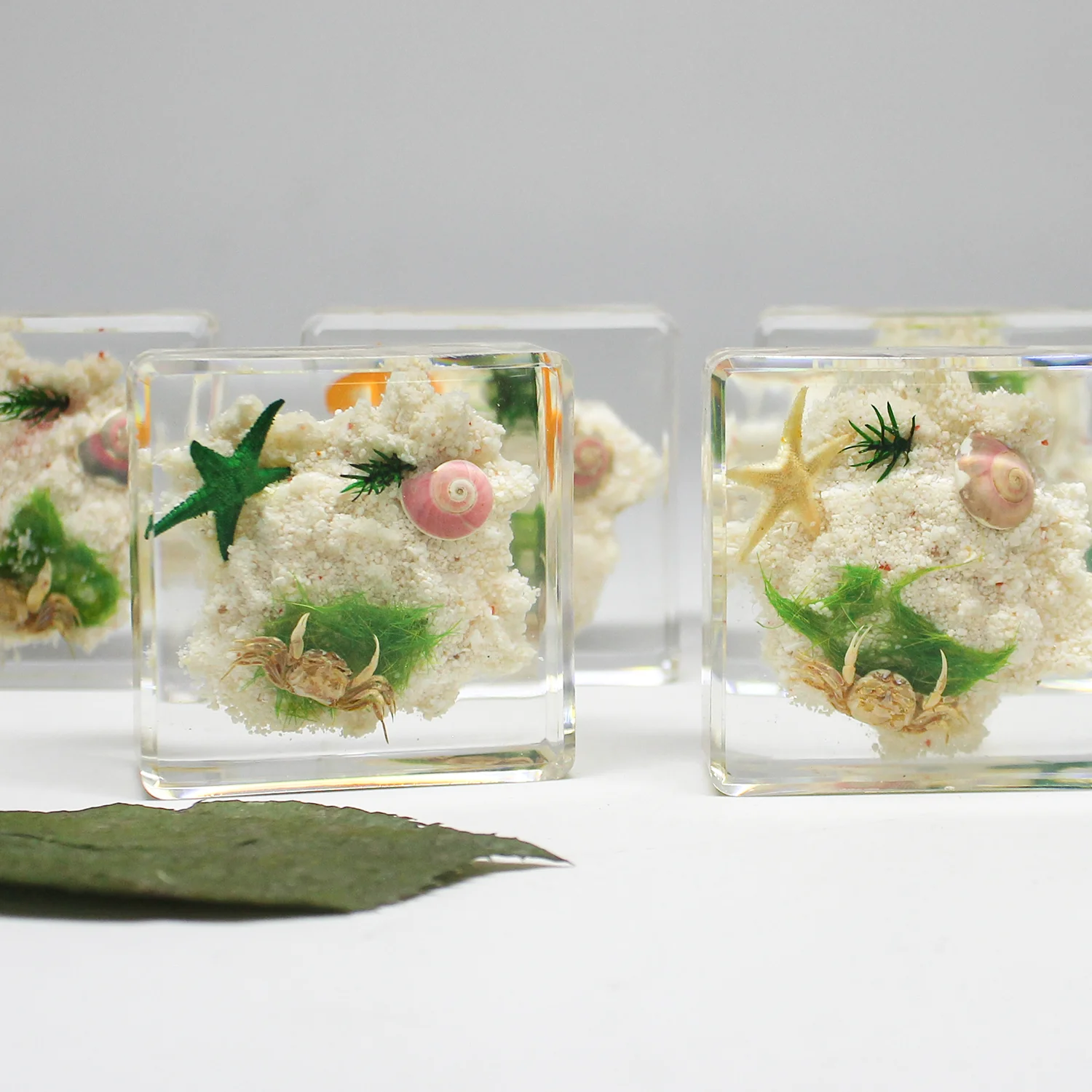 Polyresin crab starfish sea shells resin specimen sea shell decoration beach souvenir table decor