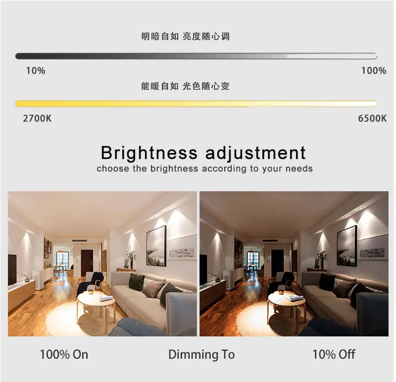 led lights downlight