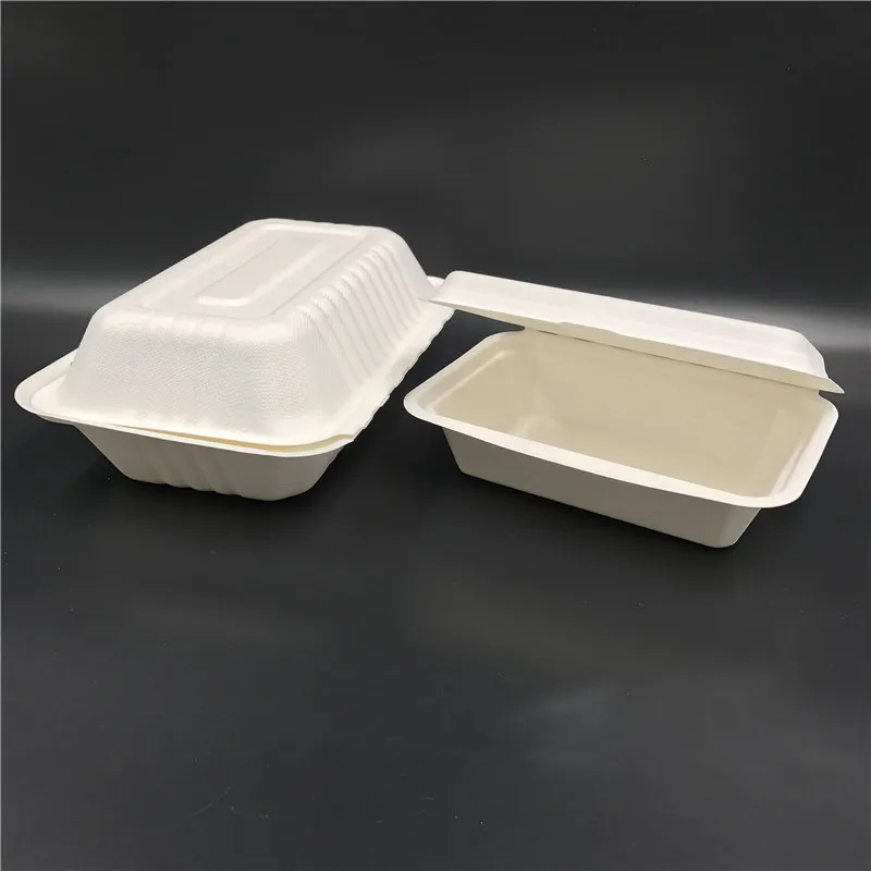 2024 New style eco bagasse container disposable take out bento box biodegradable to go lunch box for school