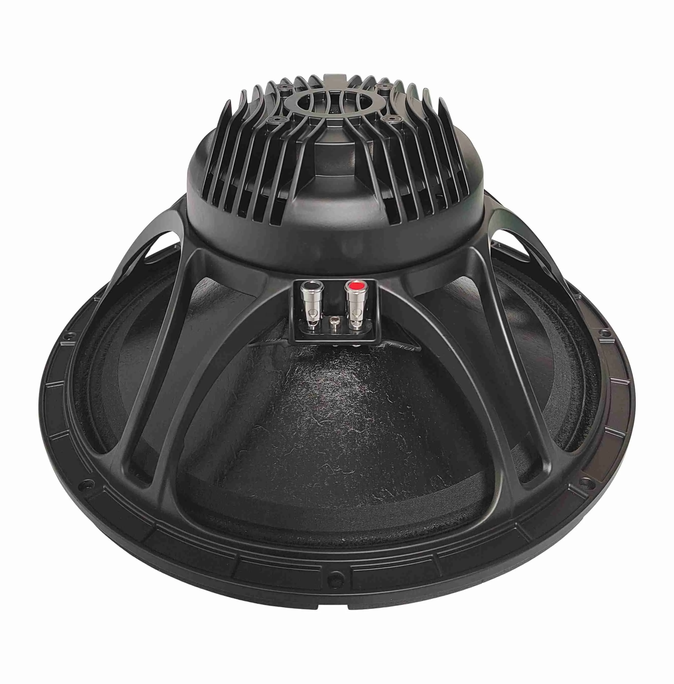 professional woofer 15 Inch speaker Neodymium