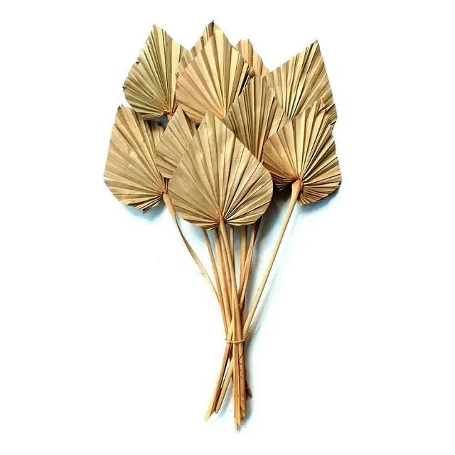 
Natural palm leaves Palm spear 