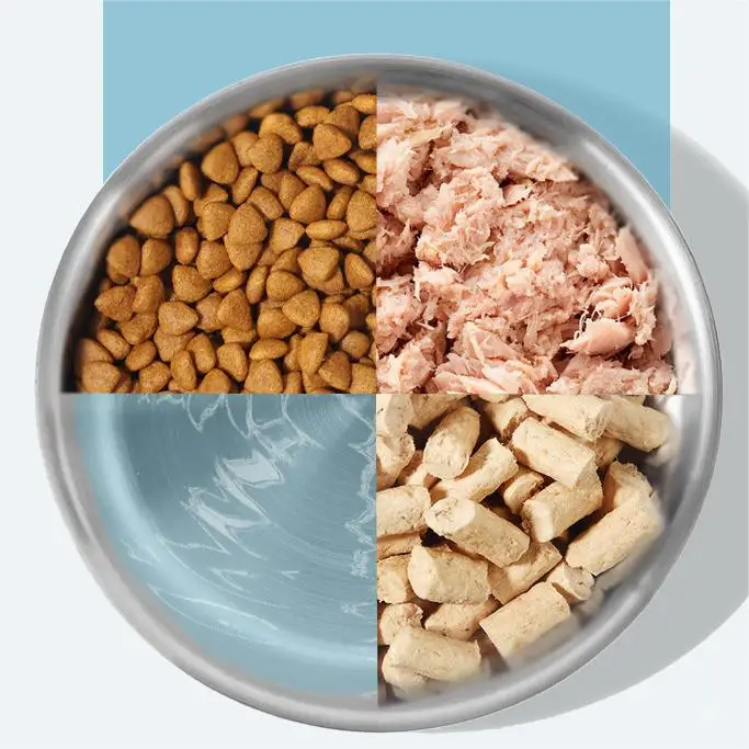 Double Wall 304 Stainless Steel Dog Bowls Rounded Pet Food & Water Feeding Bowl for Small Animals