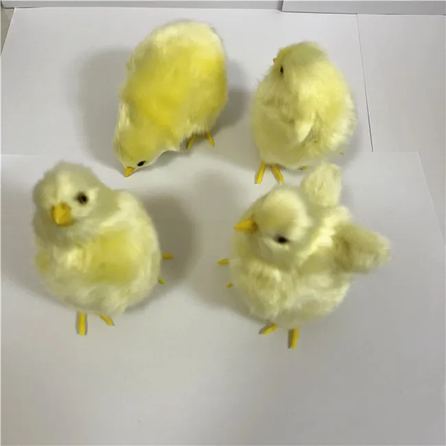 High Quality Fertile Chicken Hatching Eggs