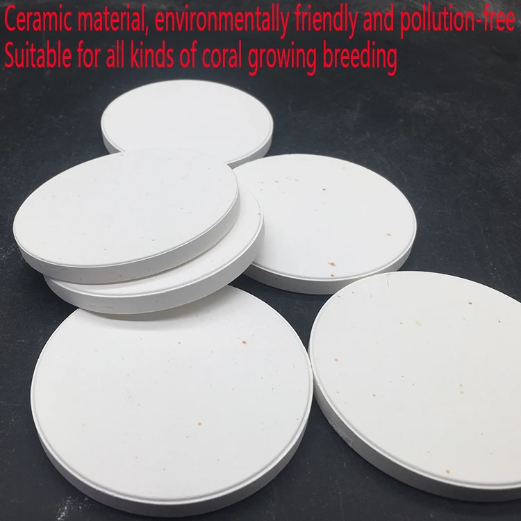 
Sea coral branch breaking base LPS button sps branch breaking breeding base coral base tray ceramic base 67mm 