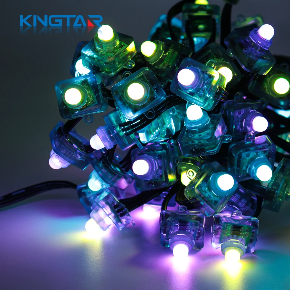 Christmas Pixel Point String Light WS2811 0.3W/0.6W/pcs 12mm Square LED Decorations IP68 Landscape Lighting