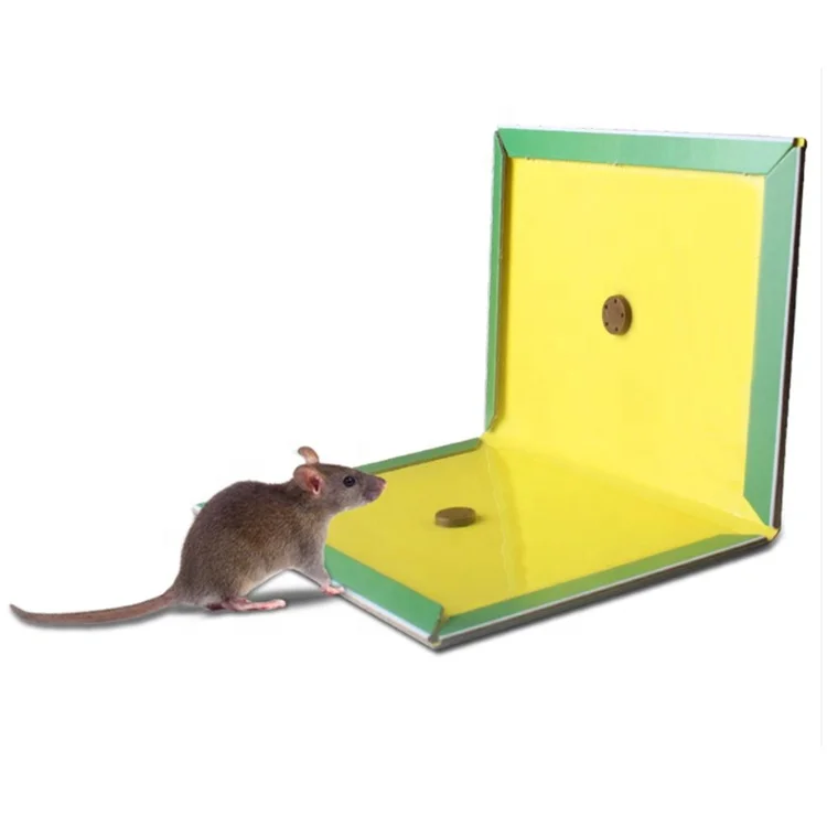 China manufacturer household good price mouse rat trap catch animal traps rat glue catcher meet different needs