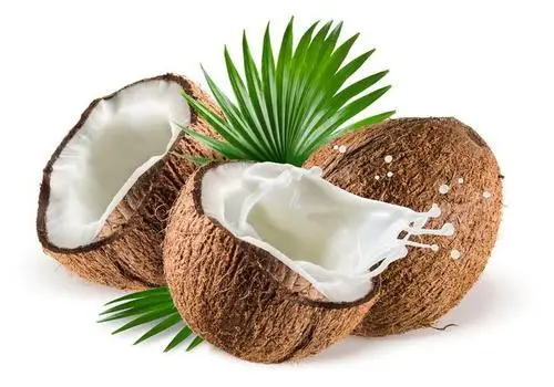 Hot selling high-quality coconut extract coconut powder
