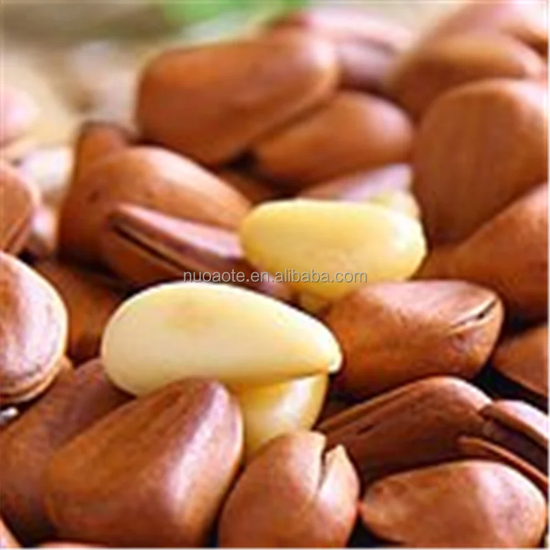 Fast Snacks Vacuum Packing Chinese Red Pine Nut