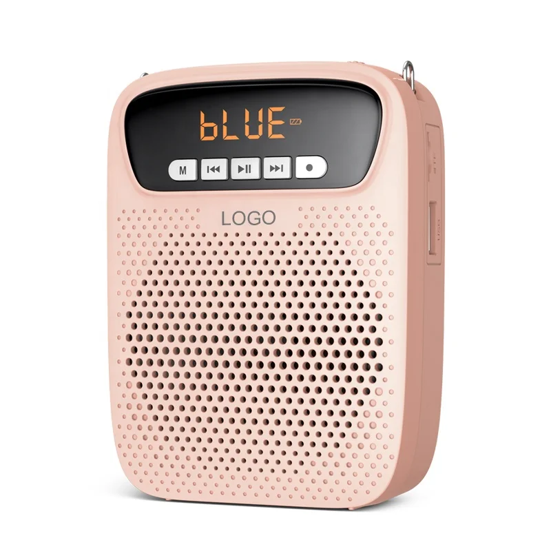 Portable Voice Amplifier Wired Microphone FM Radio AUX Audio Recording Speaker For Teachers Instructor