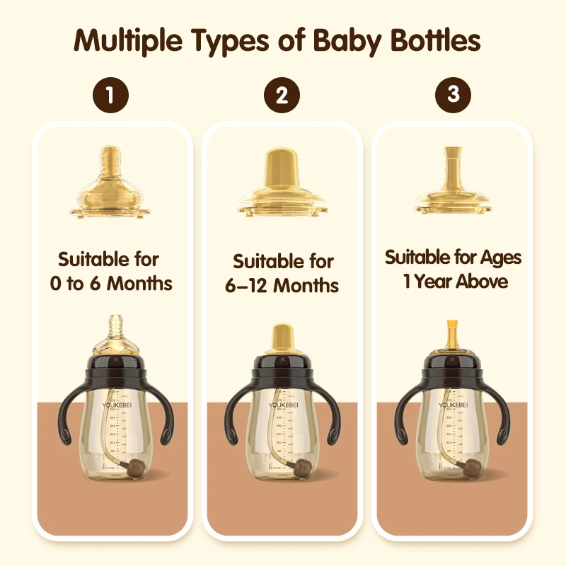 2024 Promotion PP Handle Baby Bottle Switchable Nipple 240ml 300ml 8 oz Milk Feeding anti colic baby bottle