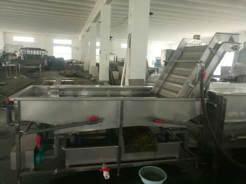 mungbean sprouts washing machine bean sprout cleaning machine bean sprout shelling machine