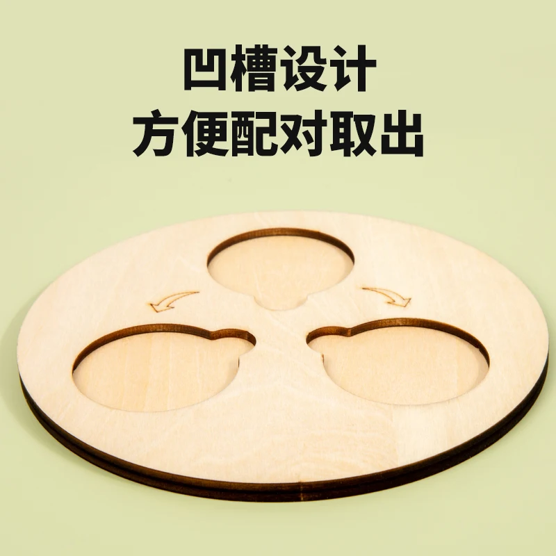 Biological Evolution Life Circle Board Science Cognitive Wooden Toys Children Early Education Montessori Teaching Aids