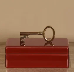 Good looking new design mirror ring new style ornament jewelry boxes trending color fancy boxes high end designer