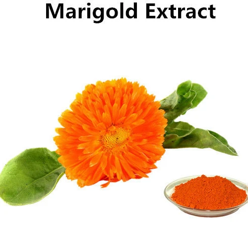 Manufacturer sales natural marigold flower extract lutein powder